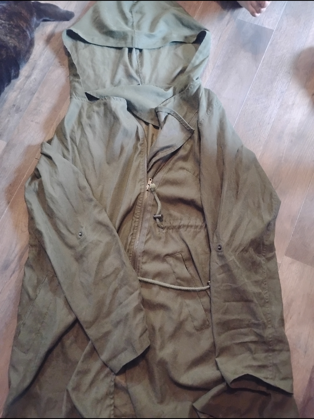 Fashion Nova Olive Green Jacket with Hood